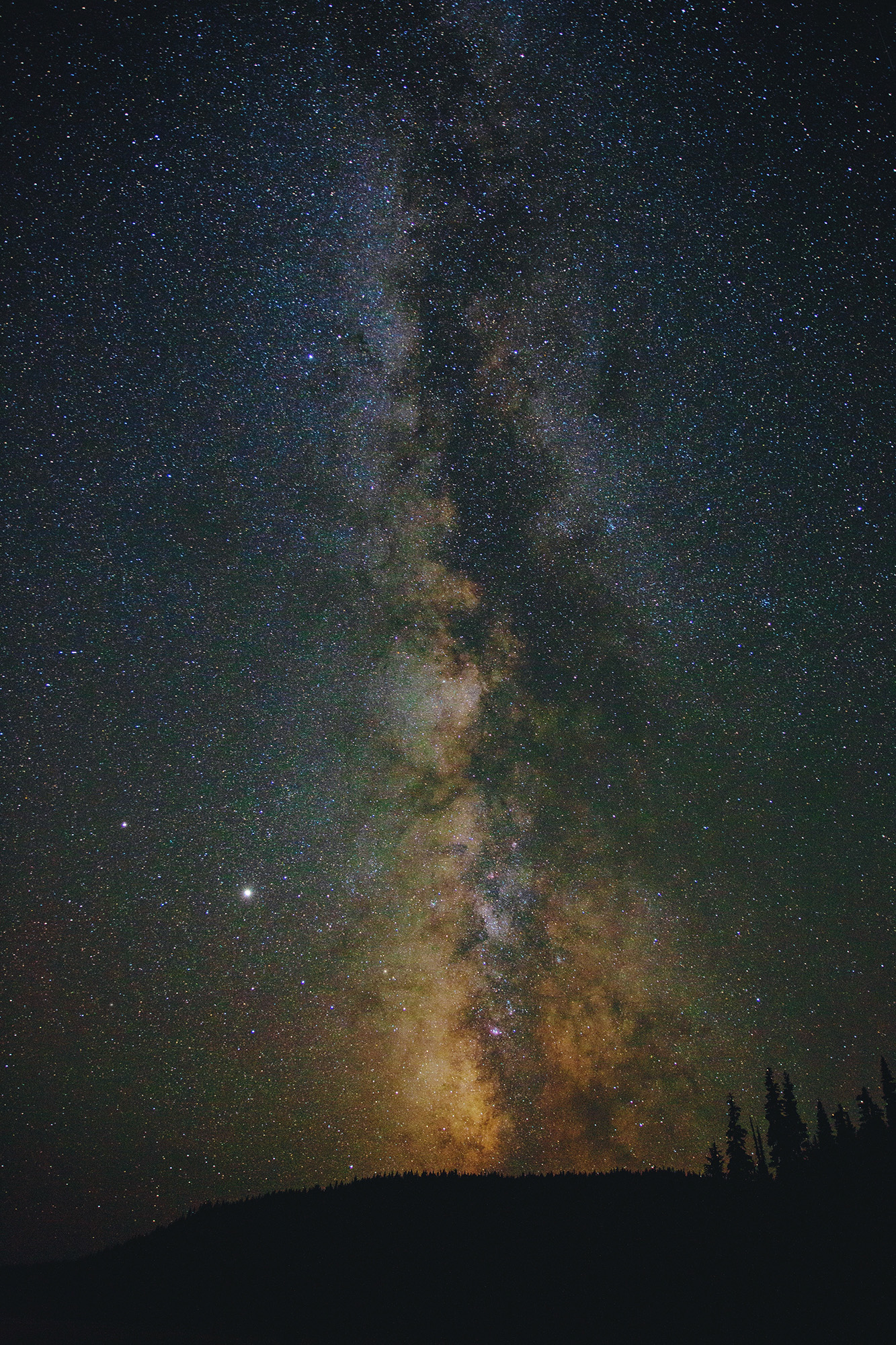 Photo of milky way galaxy over tree line